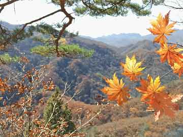 去九寨沟旅游几月份最好